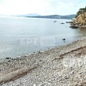 volosparalia_araxni-768x447_original
