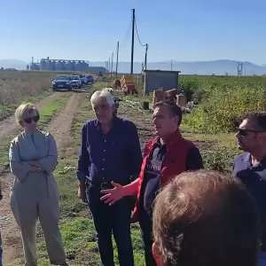 1728106733137_original
