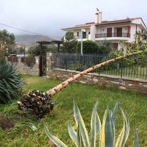202412012009084552_original