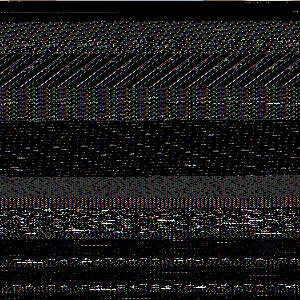 204A7459_original