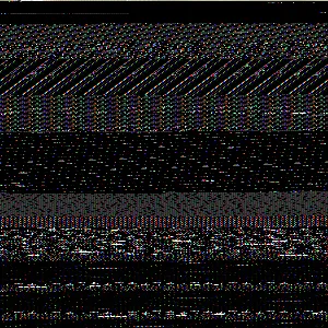 204A7520_original