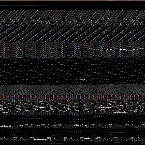 R6II9090_original