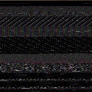 R6II9101_original
