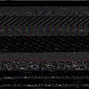 202502061256007612_original