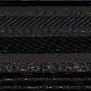 202502061256163669_original
