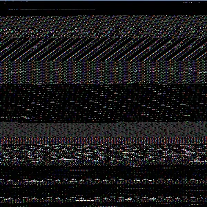 202502061256495575_original