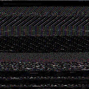202502061256513052_original