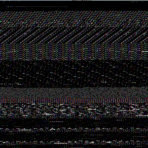 202502061257158016_original