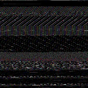 202502061257201278_original