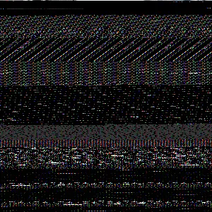 202502061257415003_original