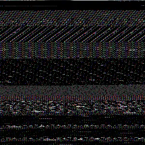 202502061257455297_original