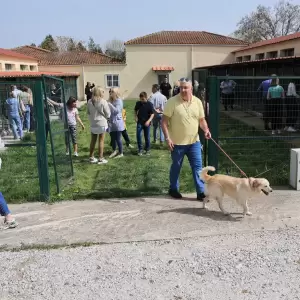 Dimos_Larissaion-Dimotiko_Katafygio-Xvros_Proaylismou_10_original
