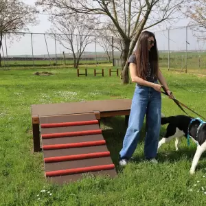 Dimos_Larissaion-Dimotiko_Katafygio-Xvros_Proaylismou_11_original