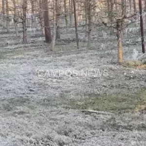 202503201216290657_original