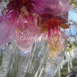 202503201216569406_original